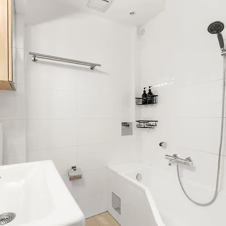 Apartment Zentral Und Ruhig Am Park - 2br - Gratis Parken - 2 Balkone Graz